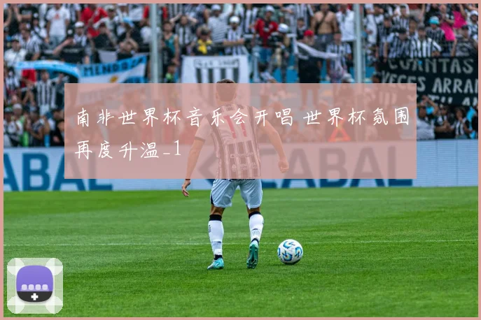 南非世界杯音乐会开唱 世界杯氛围再度升温_1